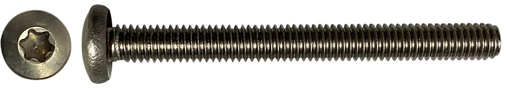 STARBOARD FIN SCREW TORX