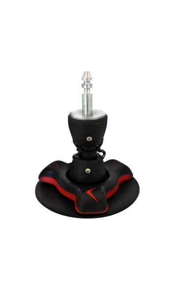 severne pin base
